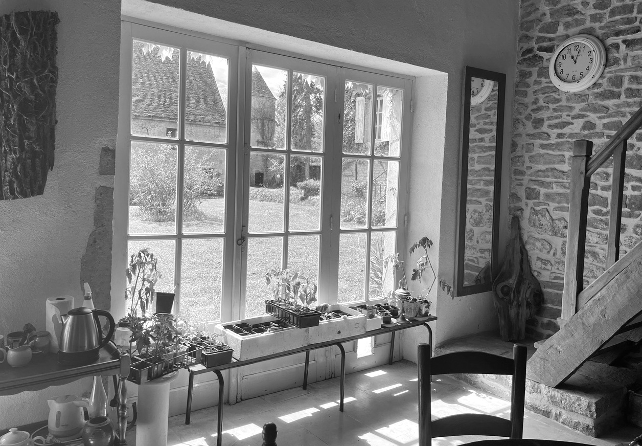 intérieur d'une maison rustique avec vue par la fenêtre sur le jardin et les dépendances